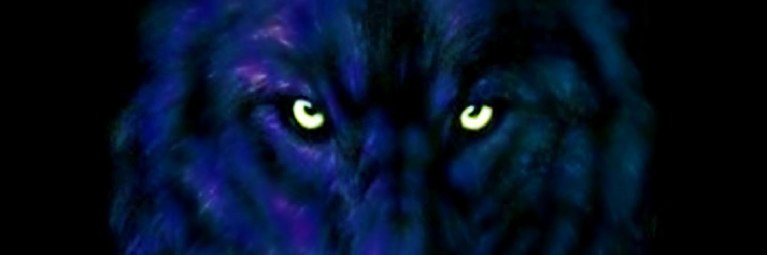 cesard40's profile banner image