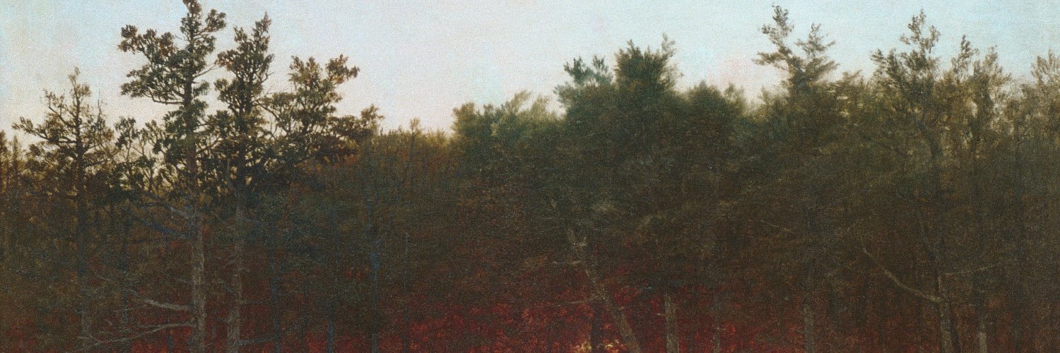 wphrycay's profile banner image