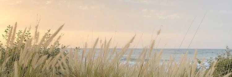 . banner