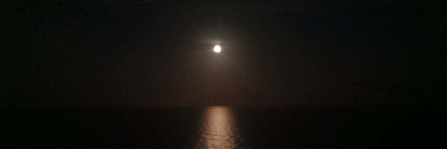 SoupyGarbageJuc's profile banner image