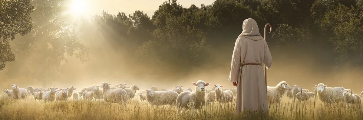 Tamleeshe's profile banner image