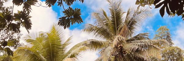 tomiwaawobayiku Profile Banner