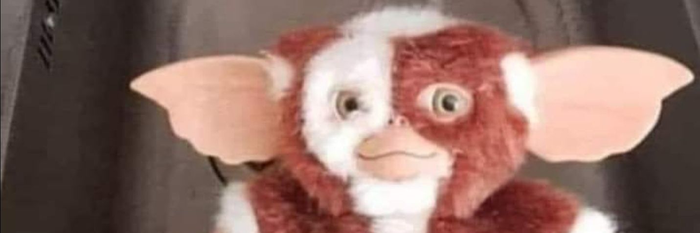 Stanggeo's profile banner image