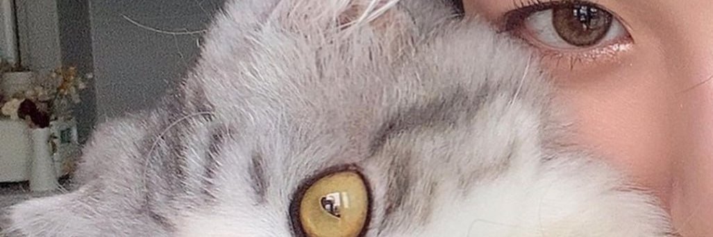 IdoloMelendi's profile banner image