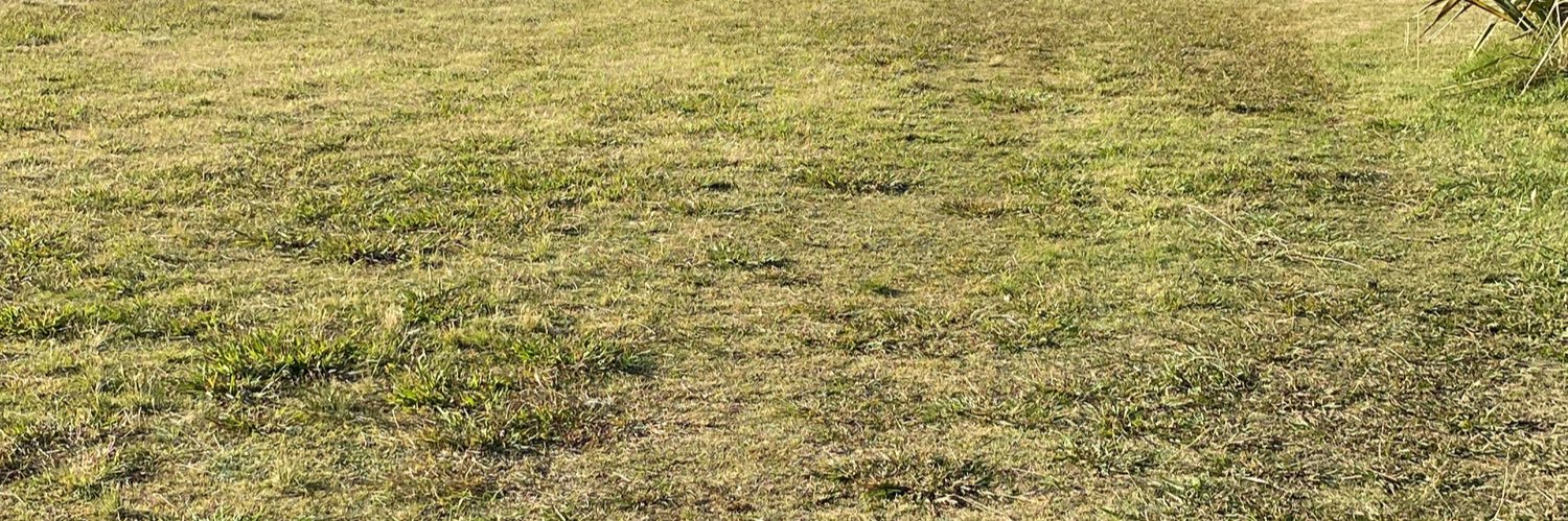 LuquiNicoletti's profile banner image