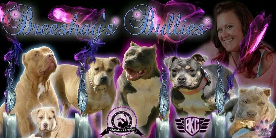 Breeshays's profile banner image