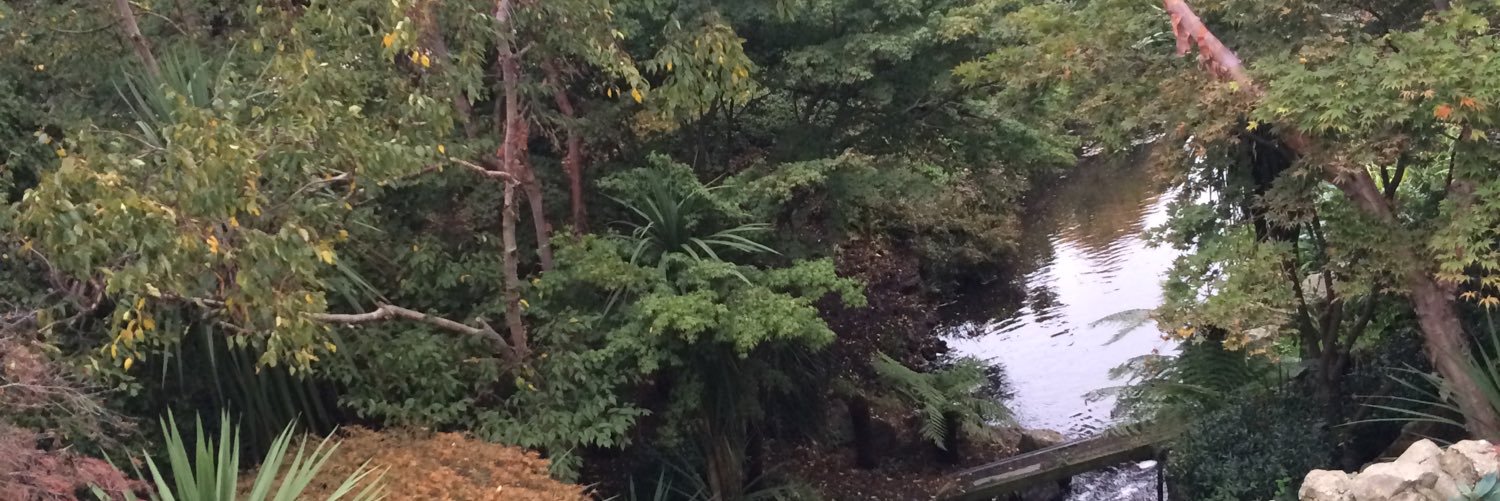 Alialdebdab's profile banner image