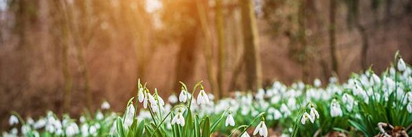 LeeRoberts39765 Profile Banner