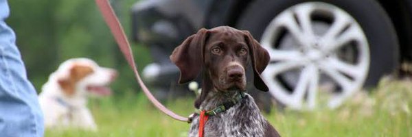 Chris__Door Profile Banner