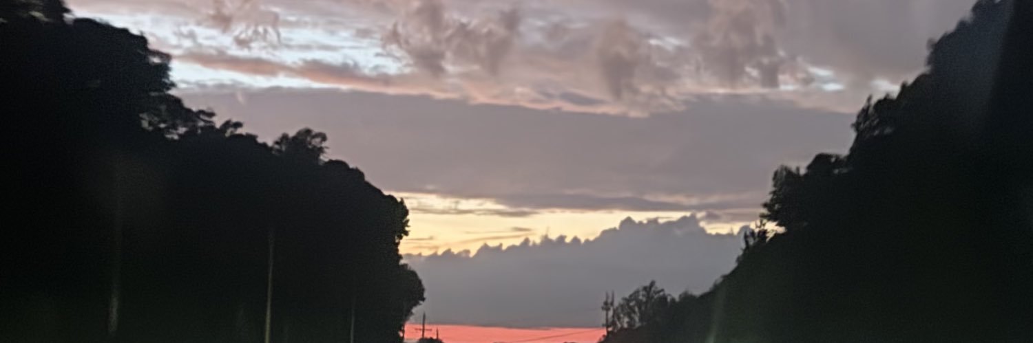 $LAY banner