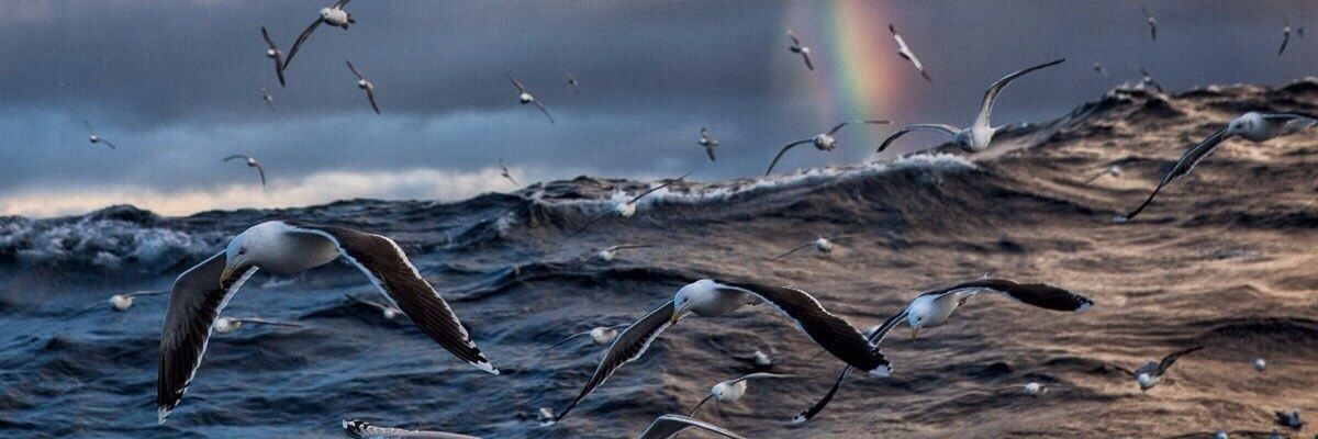 caaavy's profile banner image
