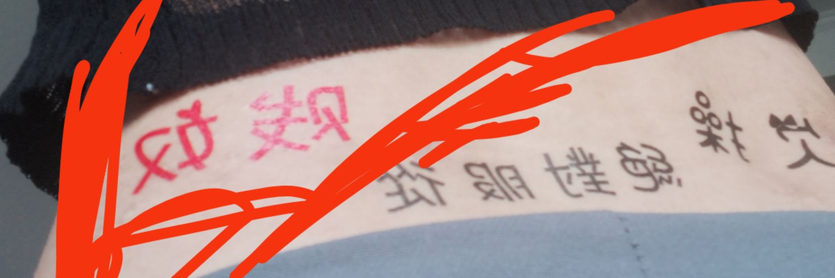 010伪娘母🐶倩倩 banner