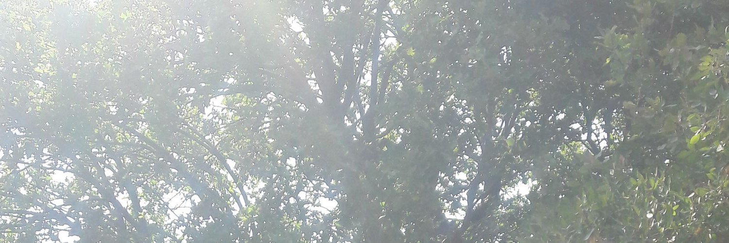Musa_KESKN's profile banner image