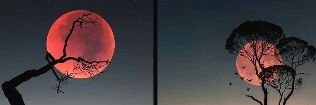 luanacaamano's profile banner image