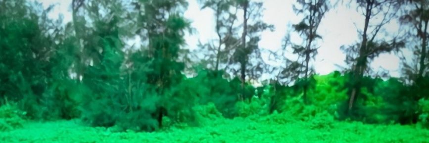 🌟 devil (30k)😈 banner