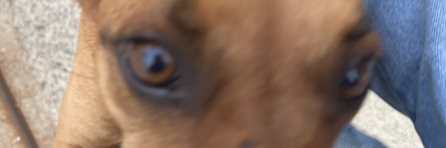 PLAllison4's profile banner image