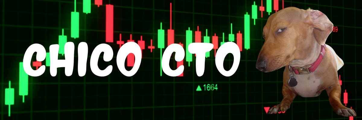 Side Eye Dog | CHICO CTO banner