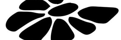 Laura Motta banner
