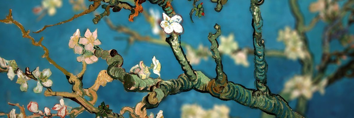 Rayanelobo9's profile banner image