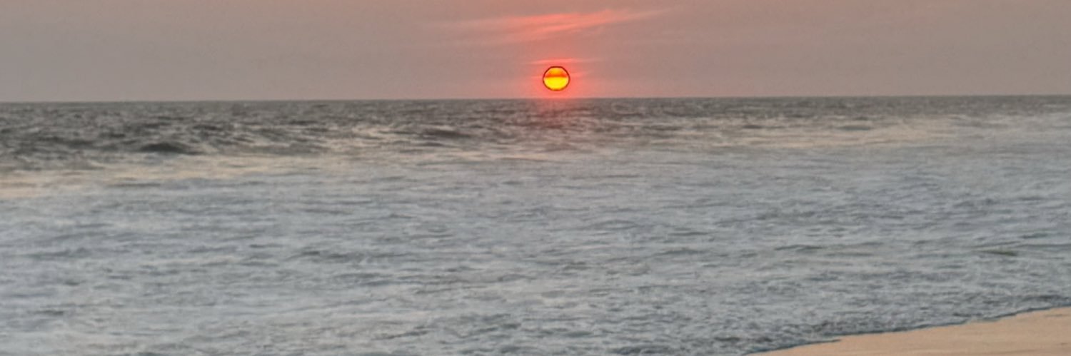 sdivel's profile banner image