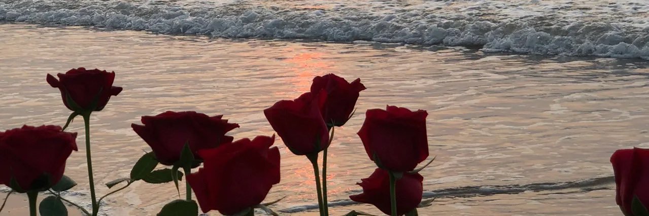 小番茄🍅 banner