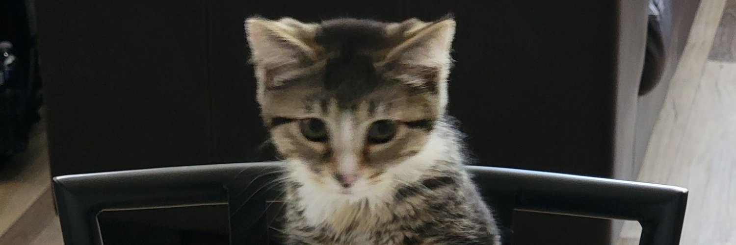 Connor (WD-40 Fan) banner