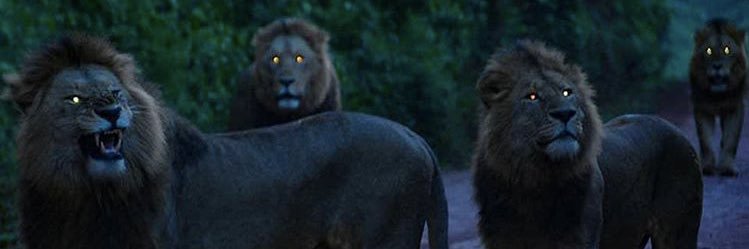 DubGdoE's profile banner image