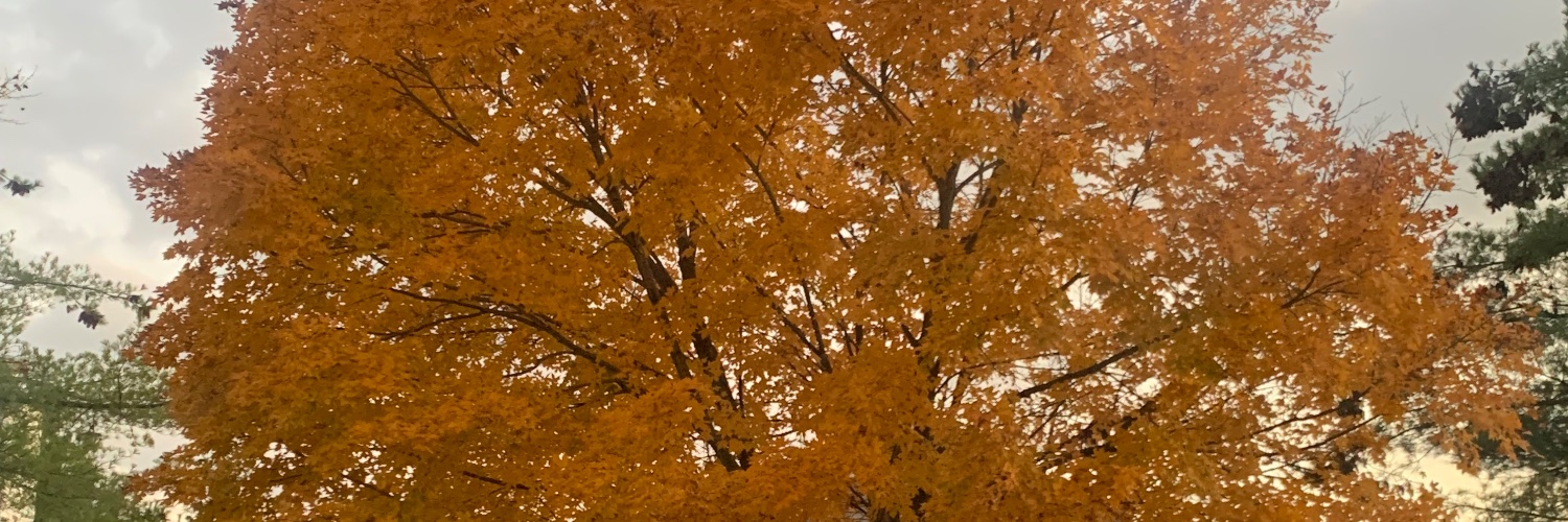 Kendimi PaRaLaDıM🌲💵🤑🍀 banner