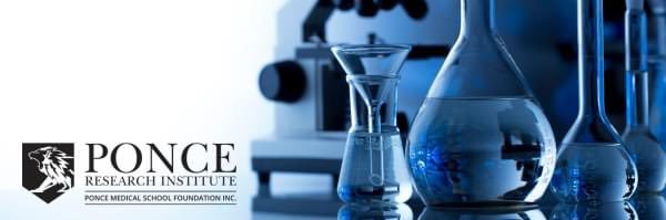 Ponce Research Institute banner