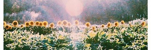 ILexiNicole's profile banner image