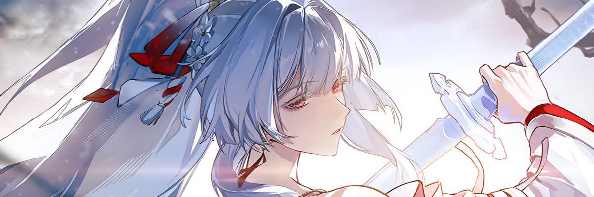 Akiro banner