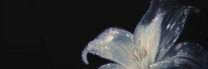 yb_ook's profile banner image