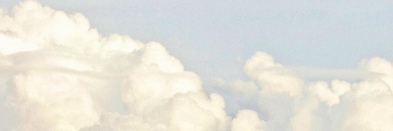 SieraHollander's profile banner image