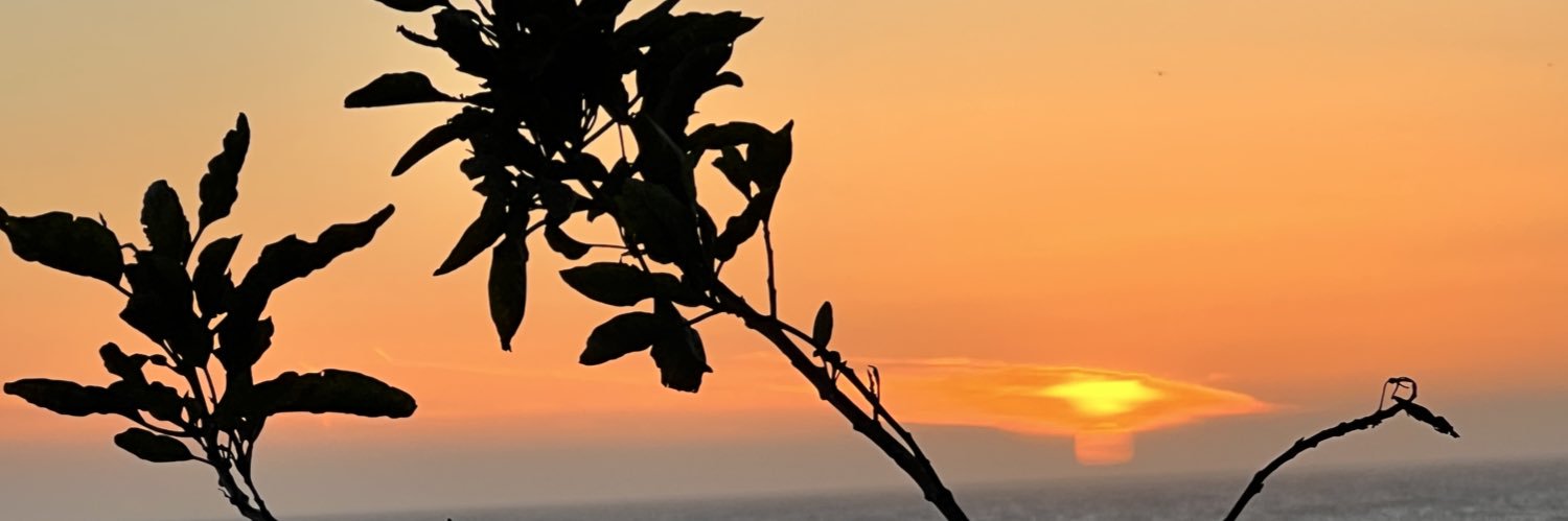 bee_you_bee's profile banner image