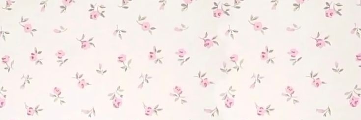 stargirl૮ ˶ᵔ ᵕ ᵔ˶ ა banner