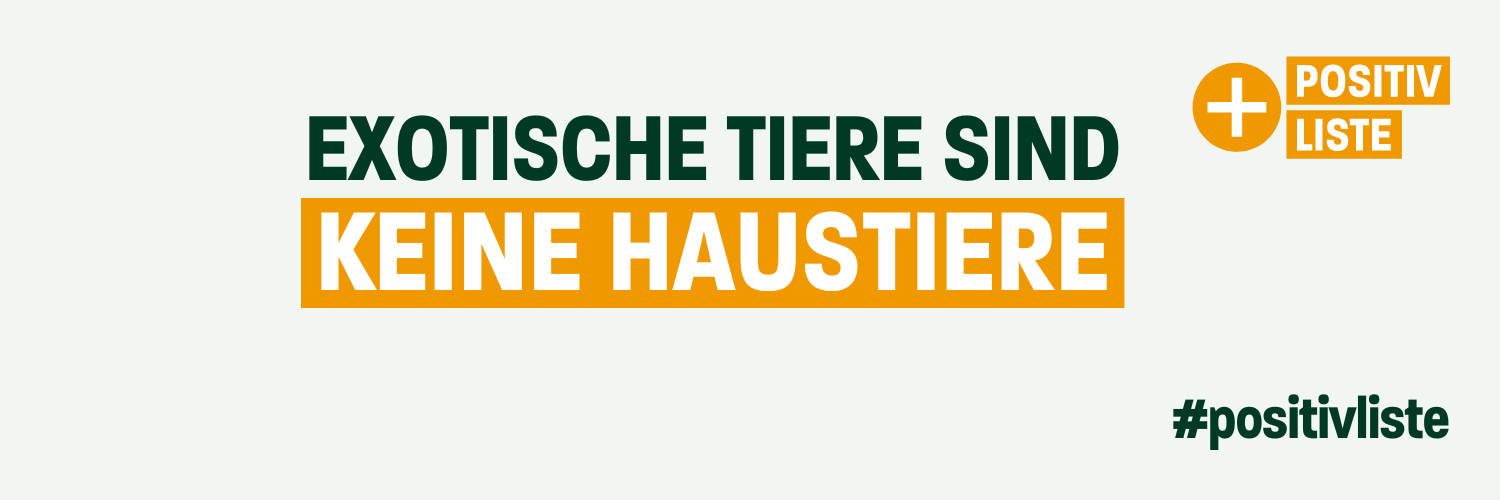 positivliste's profile banner image