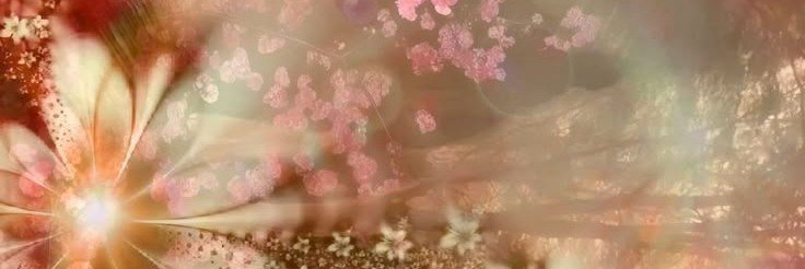 eve! ;༊🌺 banner
