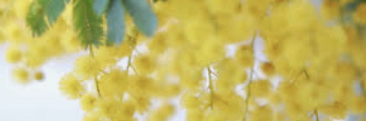 k_chank612's profile banner image
