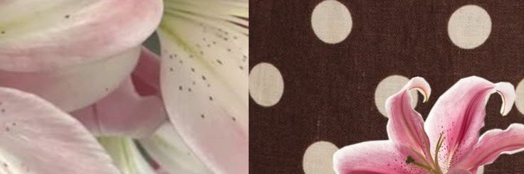 masukitebe's profile banner image