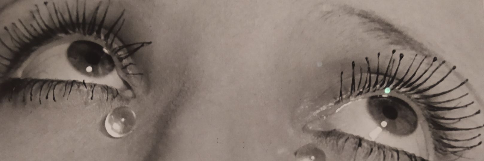 NDouliery16069's profile banner image