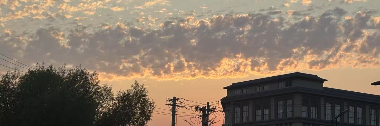 ylbb6666's profile banner image