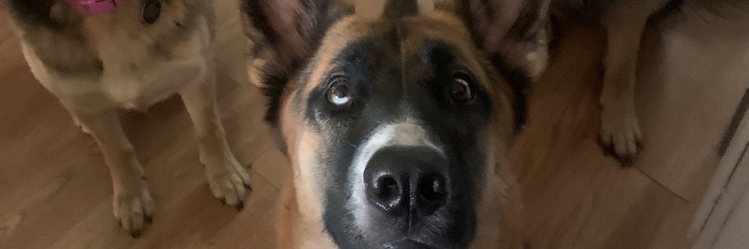 TheMom 🇺🇸❤️🍀 banner