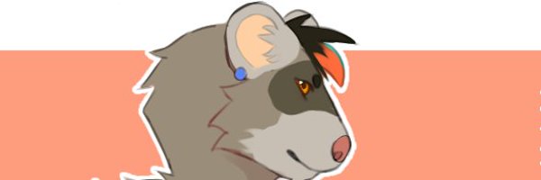 JacobDaDook Profile Banner