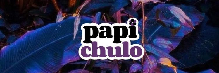 usepapichulo banner