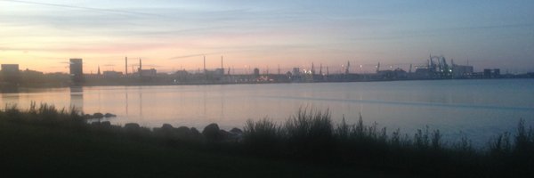 valiant_bee Profile Banner