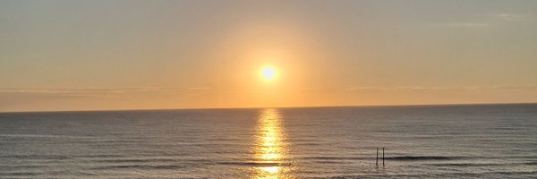 tigereyes_g Profile Banner