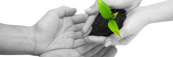 HeadfirstHR Profile Banner