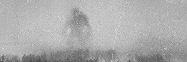 Mario Tremblay banner