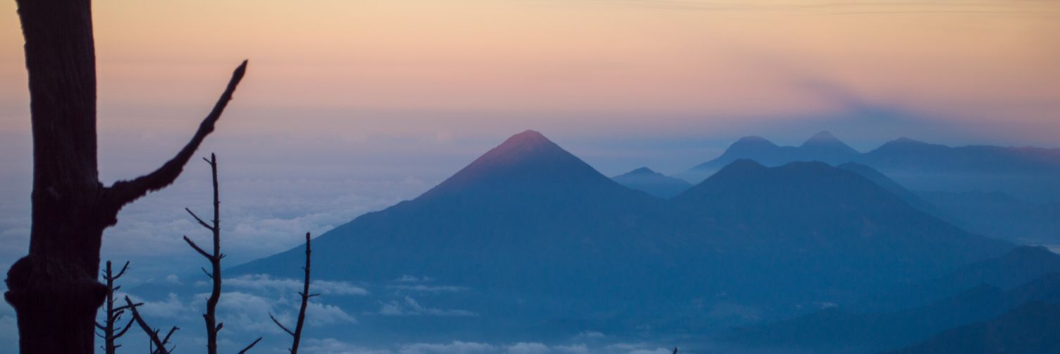 edoardoruiz's profile banner image