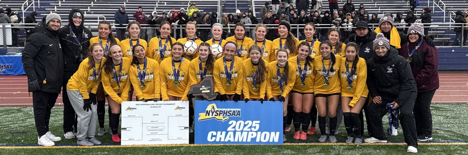 Daniel Samimi banner